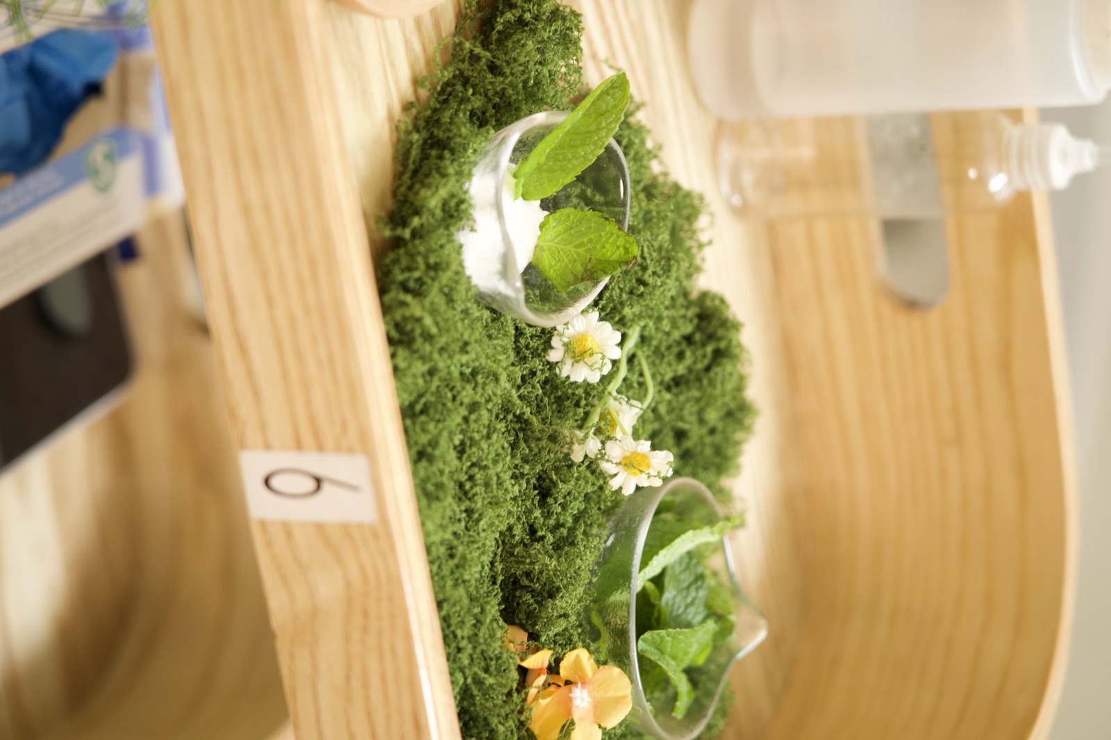 Herbal preparations in the Dr.Scalp studio