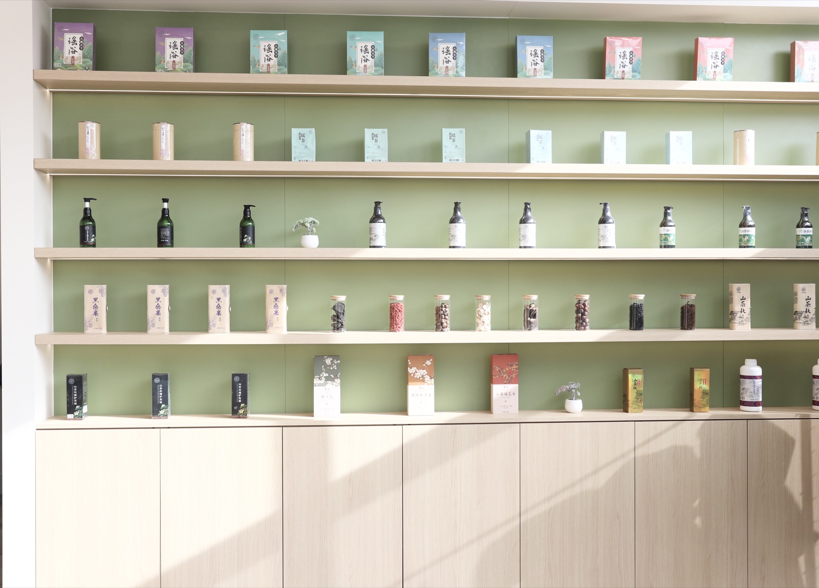 Dr.Scalp 店内陈列的专业头皮产品